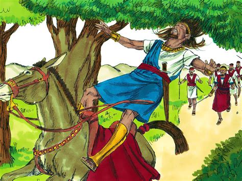 ABSALOM .